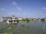 Residents said the prolonged presence of stagnant floodwater and dense vegetation had made it increasingly difficult to identify or respond to animals moving through the submerged areas. (HT)