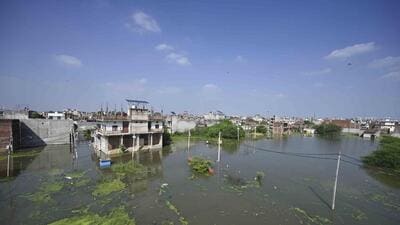 Residents said the prolonged presence of stagnant floodwater and dense vegetation had made it increasingly difficult to identify or respond to animals moving through the submerged areas. (HT) Residents said the prolonged presence of stagnant floodwater and dense vegetation had made it increasingly difficult to identify or respond to animals moving through the submerged areas. (HT)