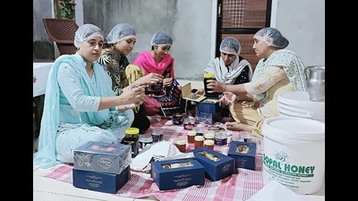 The groups now hope to produce 75,000 kilograms of honey worth nearly ₹4 crore this year. (HT File) The groups now hope to produce 75,000 kilograms of honey worth nearly ₹4 crore this year. (HT File)