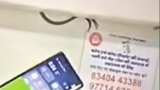 A snake slithered into a concealed panel above a berth on the Swatantrata Senani Express. The suspected coach was replaced at Muzaffarpur as a safety measure.