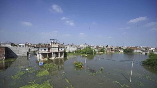 Residents said the prolonged presence of stagnant floodwater and dense vegetation had made it increasingly difficult to identify or respond to animals moving through the submerged areas. (HT)
