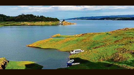 The Pong wildlife sanctuary serves as an avian habitat, during the winter months from November to February. (HT File)