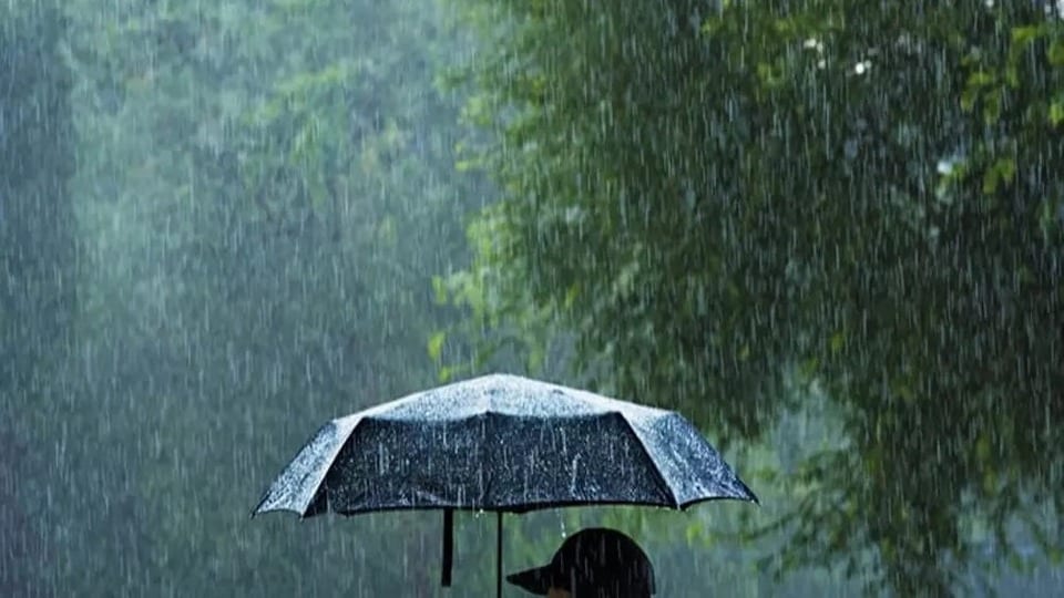 <p>ఉరుములు, మెరుపులు వస్తున్నప్పుడు విద్యుత్ స్తంభాలు, భారీ చెట్ల కింద నిలబడవద్దని అధికారులు సూచిస్తున్నారు. రైతులు, పశువుల కాపరులు పిడుగులు పడే సూచనలు కనిపించగానే సురక్షితమైన భవనాల్లోకి వెళ్లాలని హెచ్చరించారు.</p>