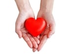 The heart's own pool of immune cells is capable of helping it heal after injury