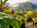 The little fire ant, an invasive pest in Hawaii since 1999, is difficult to control due to its unicolonial nature.(AI-generated/ChatGPT)