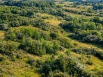 Decades after the farming stopped, the land is thick with hawthorn, blackthorn, and young woodland.