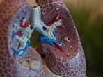 Following unverified reports of a suspected pneumonic plague death in Russia, Kerala IMA’s Rajeev Jayadevan said contacts are being traced and there is no immediate threat to India.(Representative)