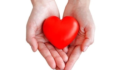The heart's own pool of immune cells is capable of helping it heal after injury (Shutterstock) The heart's own pool of immune cells is capable of helping it heal after injury (Shutterstock)