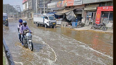 The civic body has said that accumulated cow dung at the complex will be cleared within three days. (HT File) The civic body has said that accumulated cow dung at the complex will be cleared within three days. (HT File)