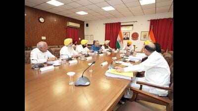 The decision was taken at a meeting of the council of ministers chaired by chief minister Bhagwant Mann. (HT File)