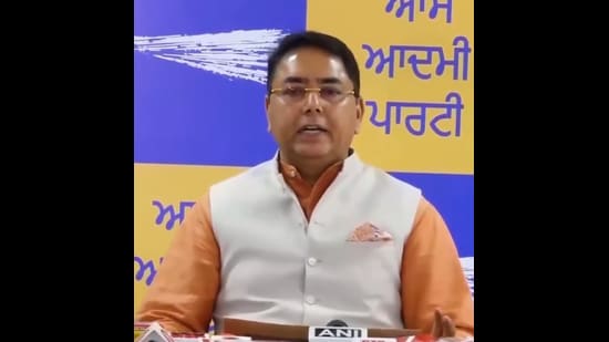 Arora assured the public that the state government will neither engage in nor tolerate illegal acts. (HT File)