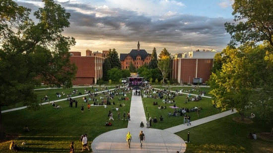 The IIT Bombay-educated professor teaches at Montana State University.