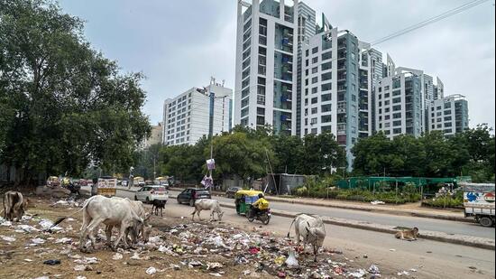 Officials visited garbage vulnerable points (GVPs), reviewed waste lifting and directed sanitation teams to ensure regular cleaning. The MCG has also made sprinkling of lime mandatory at GVPs after garbage is removed. (HT Archive)