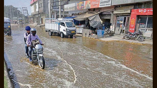 The civic body has said that accumulated cow dung at the complex will be cleared within three days. (HT File)