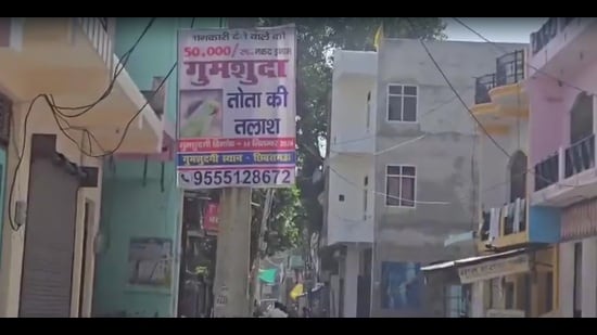 The man has posted several videos of the parrot speaking, hoping they will reach someone who may have seen the bird. (SOURCED)