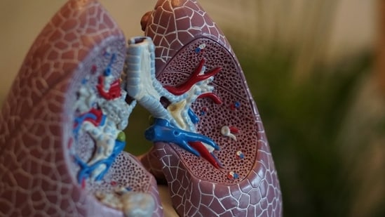 Following unverified reports of a suspected pneumonic plague death in Russia, Kerala IMA’s Rajeev Jayadevan said contacts are being traced and there is no immediate threat to India.