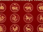 Chinese Horoscope Today: Read the astrological predictions for each zodiac sign based on an expert's guidance(pinterest)
