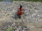 Mumbai, India - Oct. 5, 2026: Hundreds of fish were found dead at Banganga Tank, following Pitru Paksha rituals, raising concerns over pollution and recurring fish deaths in the heritage water body, in Walkeshwar, Mumbai, in Mumbai, India, on Monday, October 5, 2026. (Photo by Anshuman Poyrekar/Hindustan Times) (Anshuman Poyrekar/HT Photo)