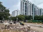 Officials visited garbage vulnerable points (GVPs), reviewed waste lifting and directed sanitation teams to ensure regular cleaning. The MCG has also made sprinkling of lime mandatory at GVPs after garbage is removed. (HT Archive)