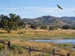 The Ramona Grasslands preserve, now hosting 626 species including numerous rare ones, began with the 2003 purchase of Cagney Ranch. Limited public access remains in place due to sensitive ecological areas within the preserve.