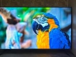 These five 43-inch TVs take different routes to better picture quality and smarter entertainment.(Shweta Ganjoo / HT Tech)