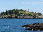 In 1936, J. Sterling Rockefeller gifted Kent's Island to Bowdoin College for a nominal fee, mandating its use for scientific studies and as a bird sanctuary. Despite initial funding challenges, the station successfully banded 7,101 birds in its first summer research season.