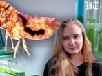 Decoding Irkutsk mystery