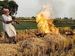 n several parts of Haryana, private operators are now entering fields with balers, collecting the straw and transporting it to industries that use it as biomass fuel or raw material. (HT File)