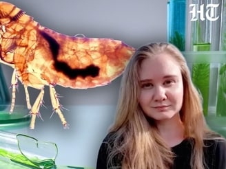 Broken test tube, dead Russian scientist, quarantines: The Siberia 'plague' rumours