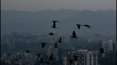 Kothrud has emerged as Pune district’s largest redevelopment cluster, accounting for 244 of the 629 projects carrying a redevelopment signal in MahaRERA data, according to study. (HT FILE) Kothrud has emerged as Pune district’s largest redevelopment cluster, accounting for 244 of the 629 projects carrying a redevelopment signal in MahaRERA data, according to study. (HT FILE)
