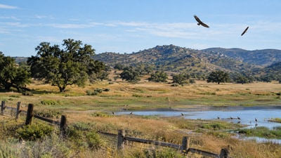 The Ramona Grasslands preserve, now hosting 626 species including numerous rare ones, began with the 2003 purchase of Cagney Ranch. Limited public access remains in place due to sensitive ecological areas within the preserve. (AI-generated/ChatGPT) The Ramona Grasslands preserve, now hosting 626 species including numerous rare ones, began with the 2003 purchase of Cagney Ranch. Limited public access remains in place due to sensitive ecological areas within the preserve. (AI-generated/ChatGPT)