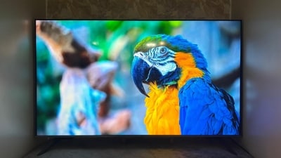 These five 43-inch TVs take different routes to better picture quality and smarter entertainment. (Shweta Ganjoo / HT Tech) These five 43-inch TVs take different routes to better picture quality and smarter entertainment. (Shweta Ganjoo / HT Tech)