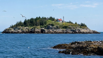In 1936, J. Sterling Rockefeller gifted Kent's Island to Bowdoin College for a nominal fee, mandating its use for scientific studies and as a bird sanctuary. Despite initial funding challenges, the station successfully banded 7,101 birds in its first summer research season. (AI-generated/ChatGPT) In 1936, J. Sterling Rockefeller gifted Kent's Island to Bowdoin College for a nominal fee, mandating its use for scientific studies and as a bird sanctuary. Despite initial funding challenges, the station successfully banded 7,101 birds in its first summer research season. (AI-generated/ChatGPT)