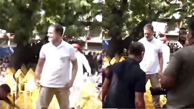 Rahul Gandhi climbed on police barricades after the Opposition MPs were stopped by police on the way to Election Commission. (X/ @INCIndia) Rahul Gandhi climbed on police barricades after the Opposition MPs were stopped by police on the way to Election Commission. (X/ @INCIndia)