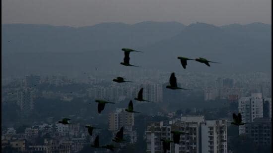Kothrud has emerged as Pune district’s largest redevelopment cluster, accounting for 244 of the 629 projects carrying a redevelopment signal in MahaRERA data, according to study. (HT FILE)