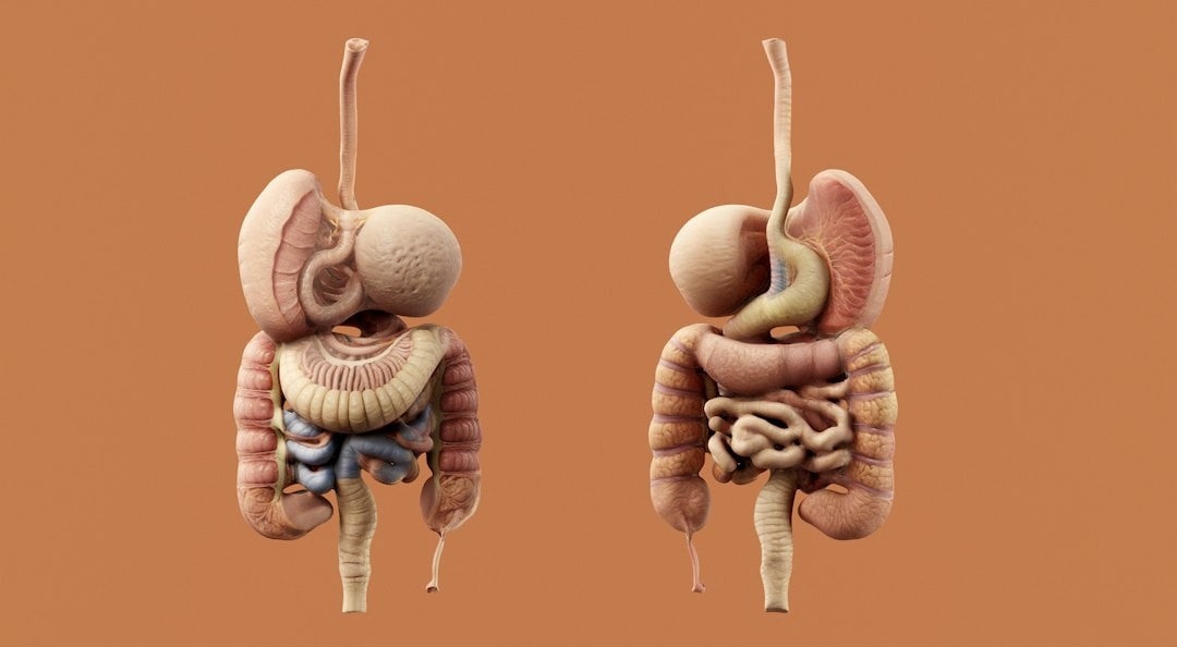 The link between the gut and brain is called the gut-brain axis. (Unsplash) The link between the gut and brain is called the gut-brain axis. (Unsplash)