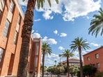 University of Arizona puts 21 Interfraternity Council chapters on ‘activities suspension’ amid investigation, misconduct reports(The University of Arizona﻿/Facebook)