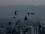 Kothrud has emerged as Pune district’s largest redevelopment cluster, accounting for 244 of the 629 projects carrying a redevelopment signal in MahaRERA data, according to study. (HT FILE)