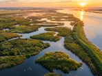 Representative image of a restored tidal marsh in the Sacramento-San Joaquin Delta, where young salmon find food and shelter.