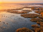 From a drained and abandoned marsh to a refuge for wildlife, the comeback took decades.