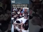 Rahul Gandhi Detained By Police For 2nd Time In 24 Hrs Amid INDIA Bloc's Anti-CEC Protest