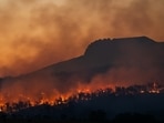 A vegetation fire was visible from both Temecula and Fallbrook in California. Image for representational purposes.