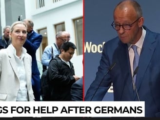 Merz declared war on half of Germany? German Chancellor melts down over AfD victory - must watch
