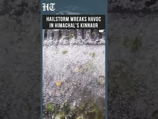 Severe Hailstorm Causes Extensive Crop Damage In Himachal’s Kinnaur  | HT India