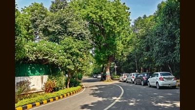 A street outside CEC’s residence in Delhi. (HT Photo)
