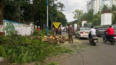 SEIAA has been given two months from the uploading of the judgment to take a fresh decision. (HT)