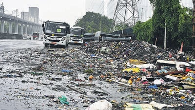 The bench said it had seen little improvement in the city’s hygiene despite several directions issued by the court over the years. (HT Archive)