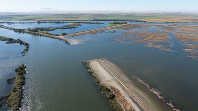 The California Department of Water Resources noted that the Delta is critical for drinking water and agriculture. The EcoRestore initiative targets habitat restoration, which includes significant projects like Lookout Slough, contributing vital resources for native fish and enhancing flood protection for local communities. (California Department of Water Resources)