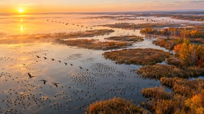 From a drained and abandoned marsh to a refuge for wildlife, the comeback took decades. (AI-generated/ChatGPT)