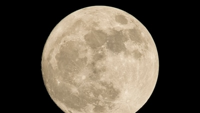 New Moon in October  2026. (Unsplash)